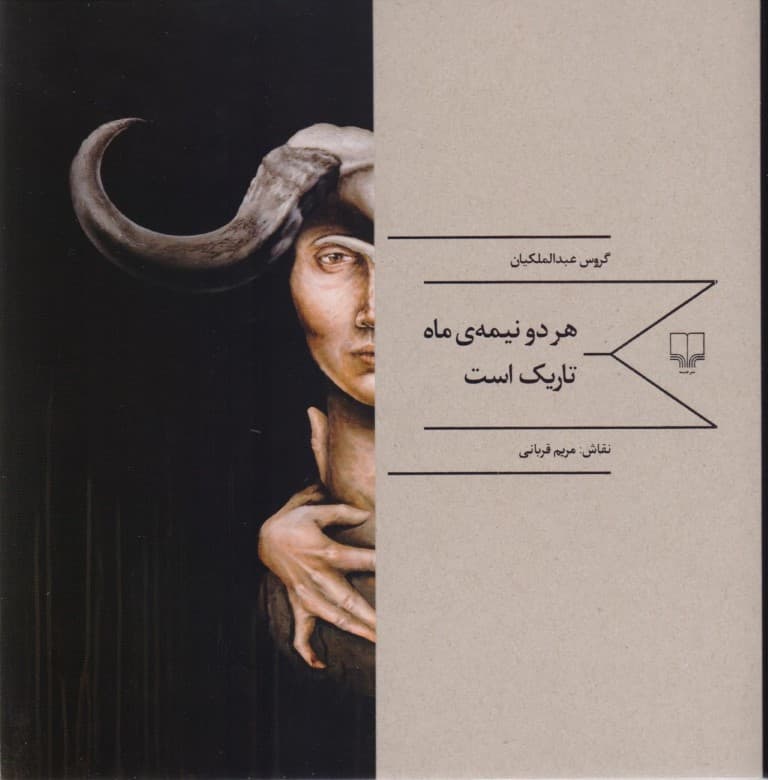 هر 2 نیمه ماه تاریک است (مجموعه شعر)