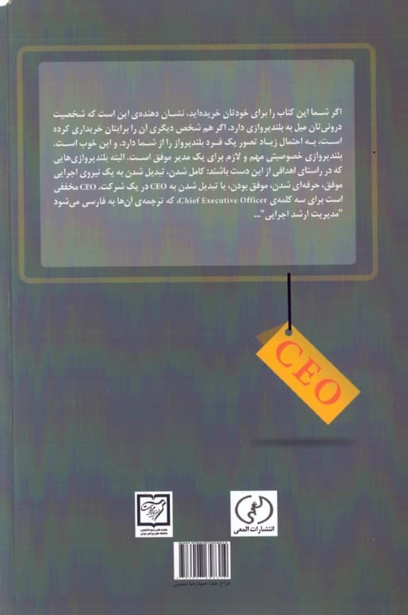 من مدیر ارشد اجرایی شدم چون
