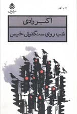 شب روی سنگفرش خیس