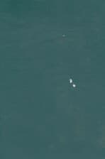 نگین سخن17 (شامل شیواترین آثار منظوم ادبیات پارسی)