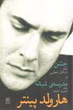 جشن مدرسه شبانه (نمایشنامه)