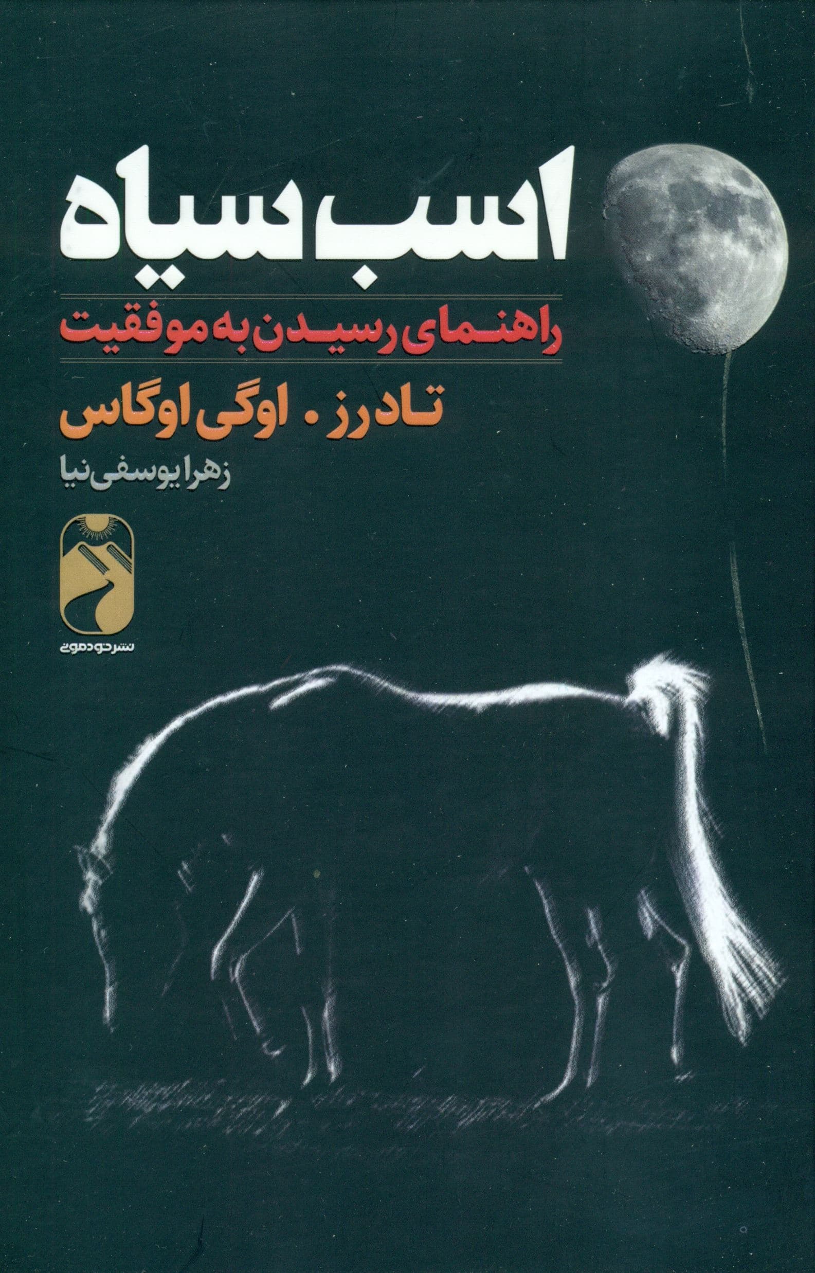 اسب سیاه (راهنمایی رسیدن به موفقیت)