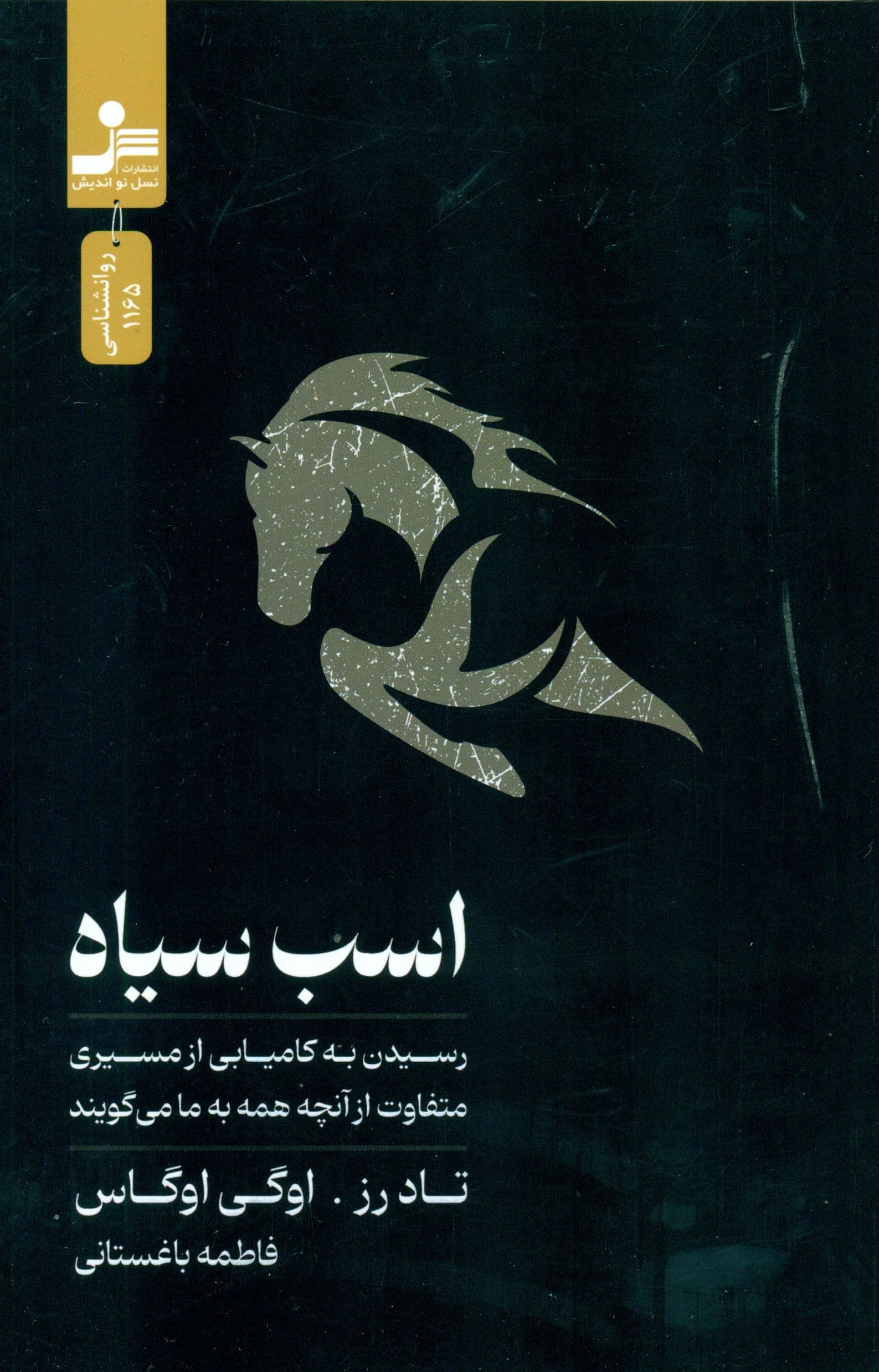 اسب سیاه (رسیدن به کامیابی از مسیری متفاوت از آنچه همه به ما می‌گویند)