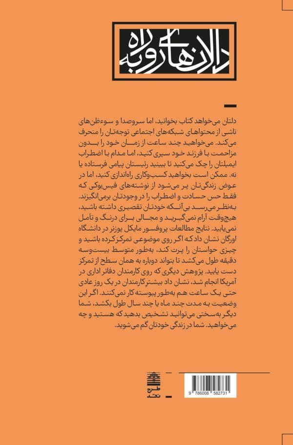 تمرکز ربوده‌شده (چطور نمی‌توان مثل گذشته تمرکز کرد چطور می‌توان دوباره قدرت تعمق خود را به دست آورد)