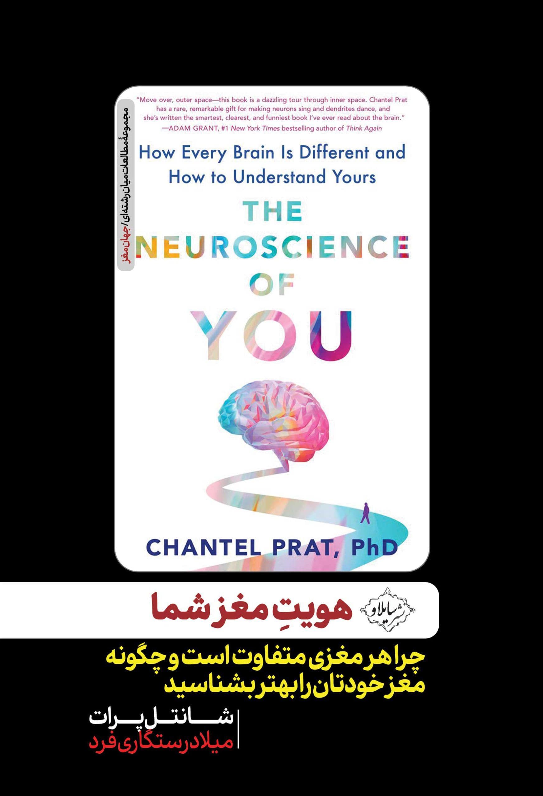 هویت مغز شما 