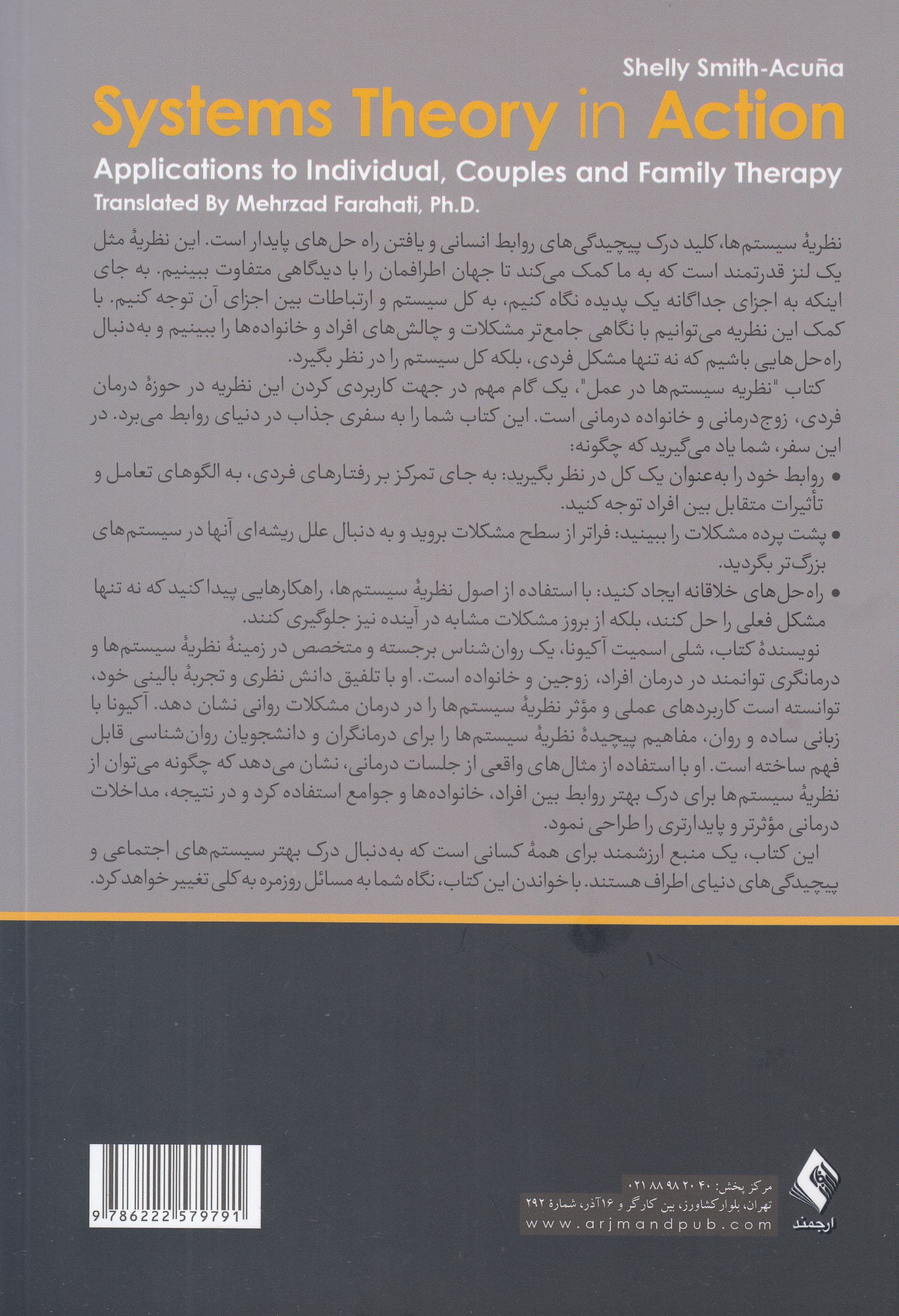 نظریه سیستم‌ها در عمل (برنامه‌های کاربردی برای درمان فردی زوج‌درمانی و خانواده‌درمانی)