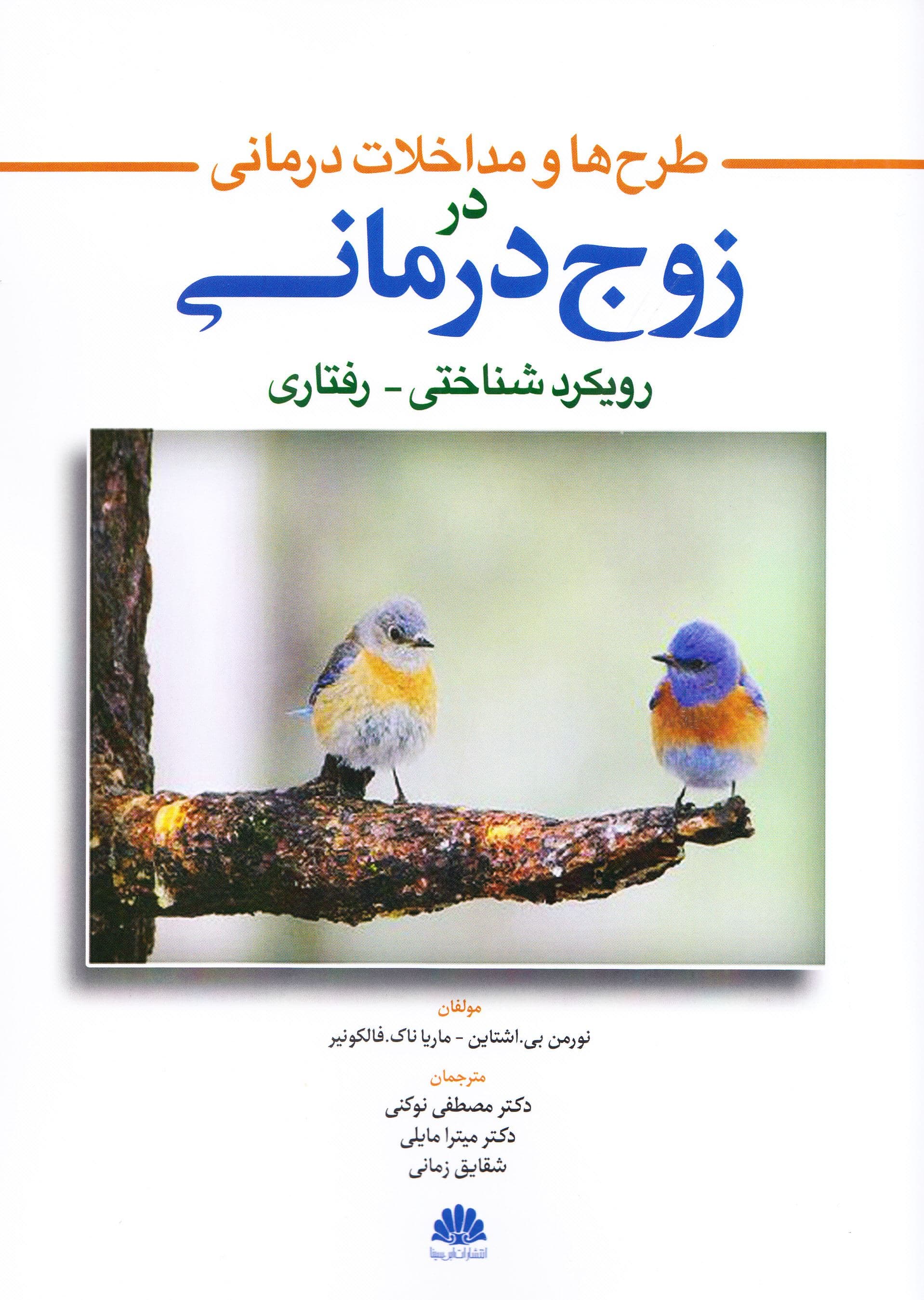 طرح‌ها و مداخلات درمانی در زوج‌درمانی (رویکرد شناختی رفتاری)