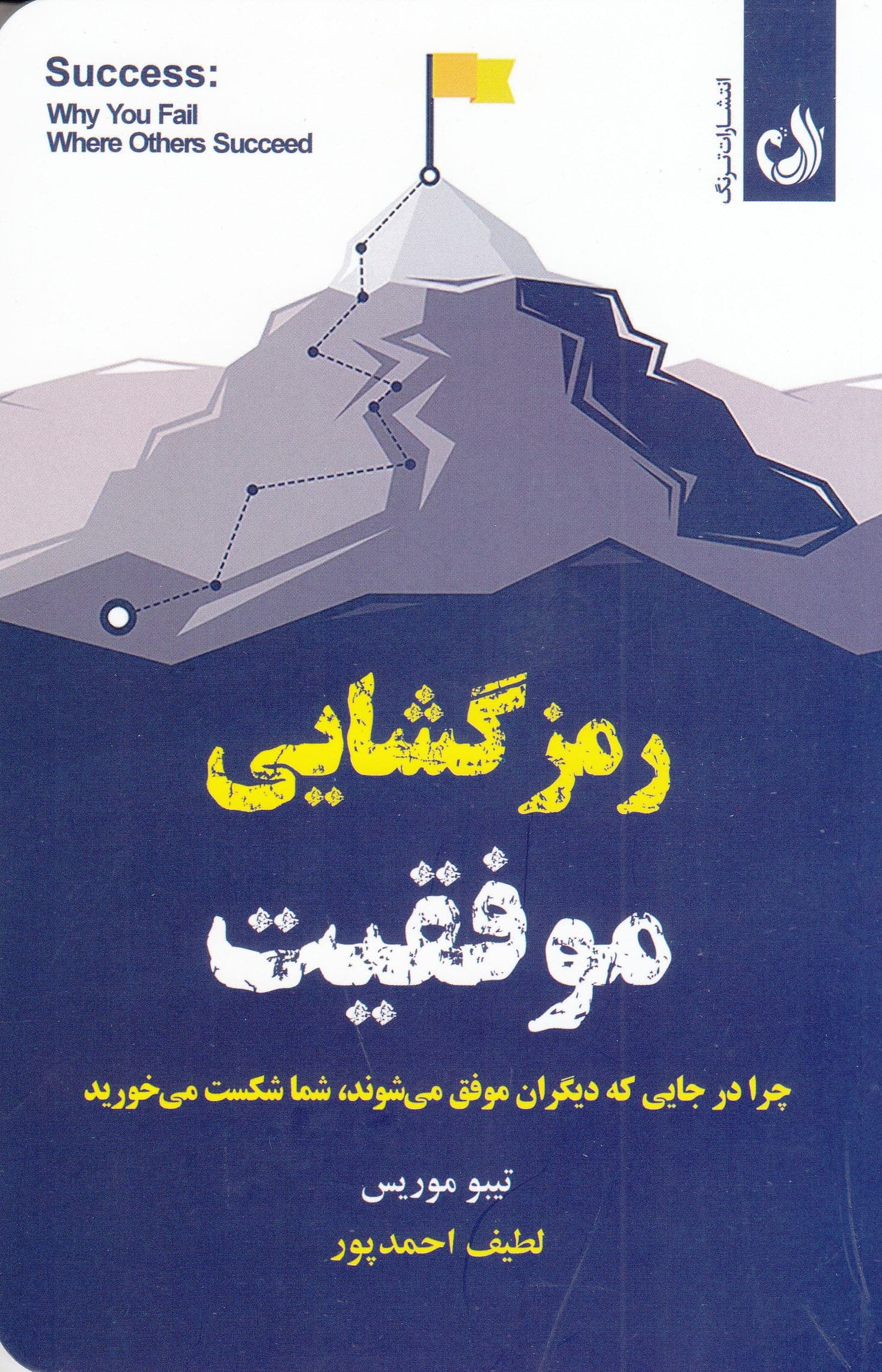 رمزگشایی موفقیت (چرا در جایی که دیگران موفق می‌شوند شما شکست می‌خورید)