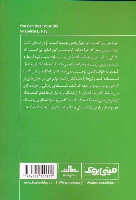 مینی بوک 42:شفای زندگی (خلاصه برترین کتاب های دنیا)