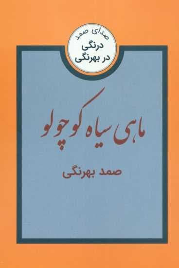 ماهی سیاه کوچولو و سه داستان دیگر (درنگی در بهرنگی)