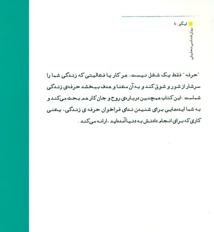 زندگی در کار (لذت کشف آنچه برای انجام دادنش به دنیا آمده‌اید)