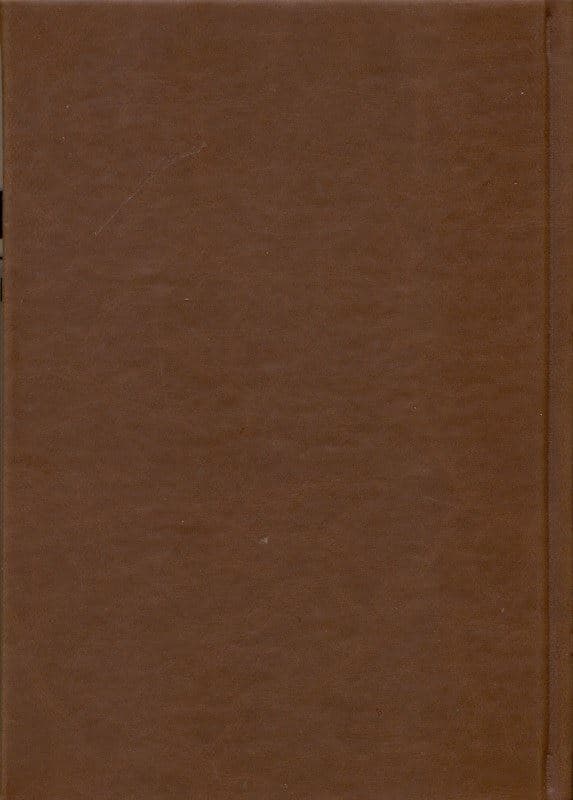 بادبادک‌باز (چرمی)