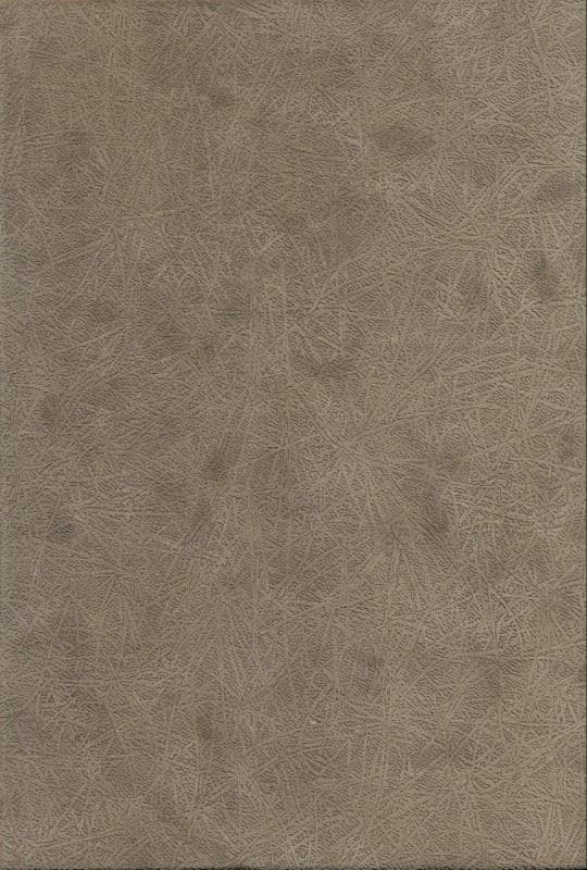 8 کتاب (مرگ رنگ)