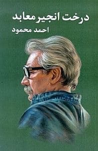 درخت انجیر معابد 1 (2 جلدی) شومیز