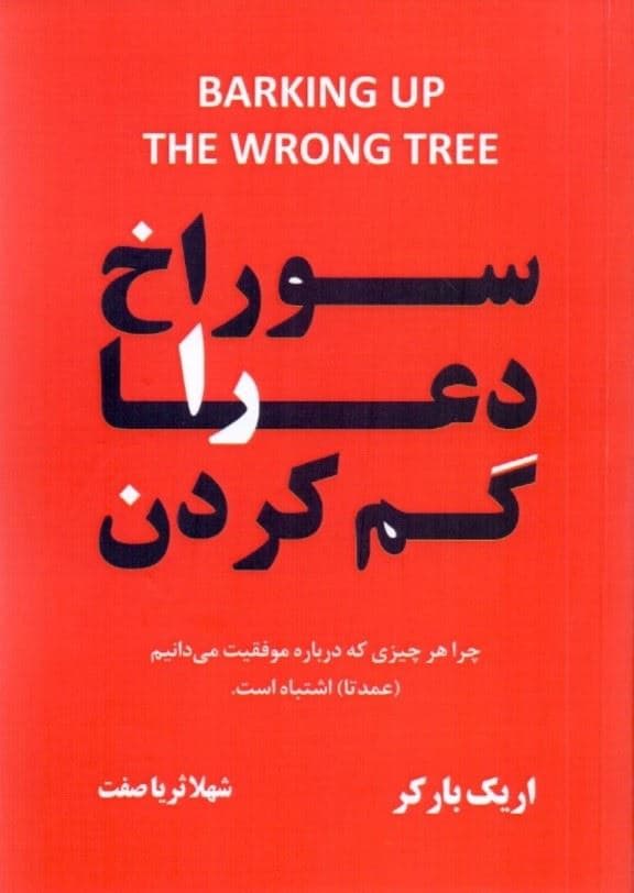سوراخ دعا را گم کردن (چرا هر چیزی که درباره موفقیت می‌دانیم عمدتا اشتباه است)