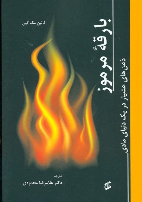 بارقه مرموز (ذهن‌های هشیار در یک دنیای مادی)