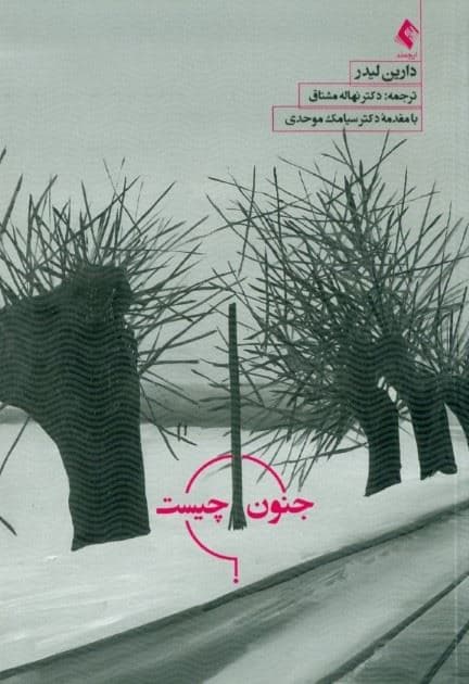 جنون چیست