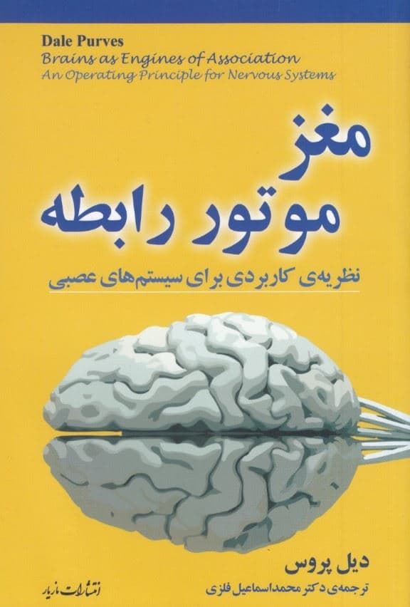 مغز موتور رابطه (نظریه‌ای کاربردی برای سیستم عصبی)