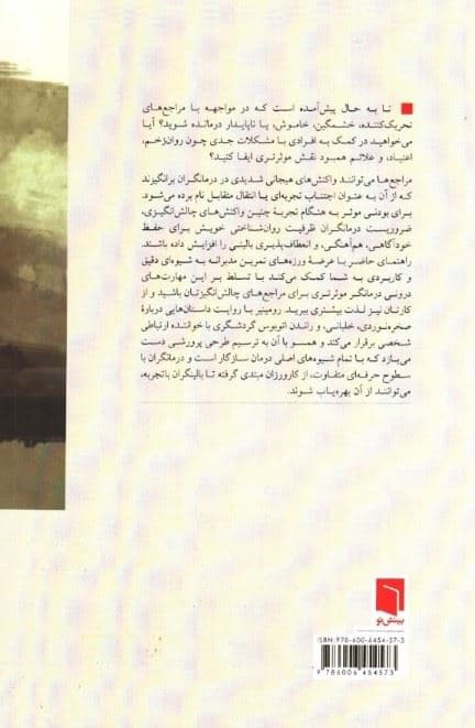 پرورش مهارت‌های درونی روان‌درمانی (راهنمای تمرین مدبرانه)