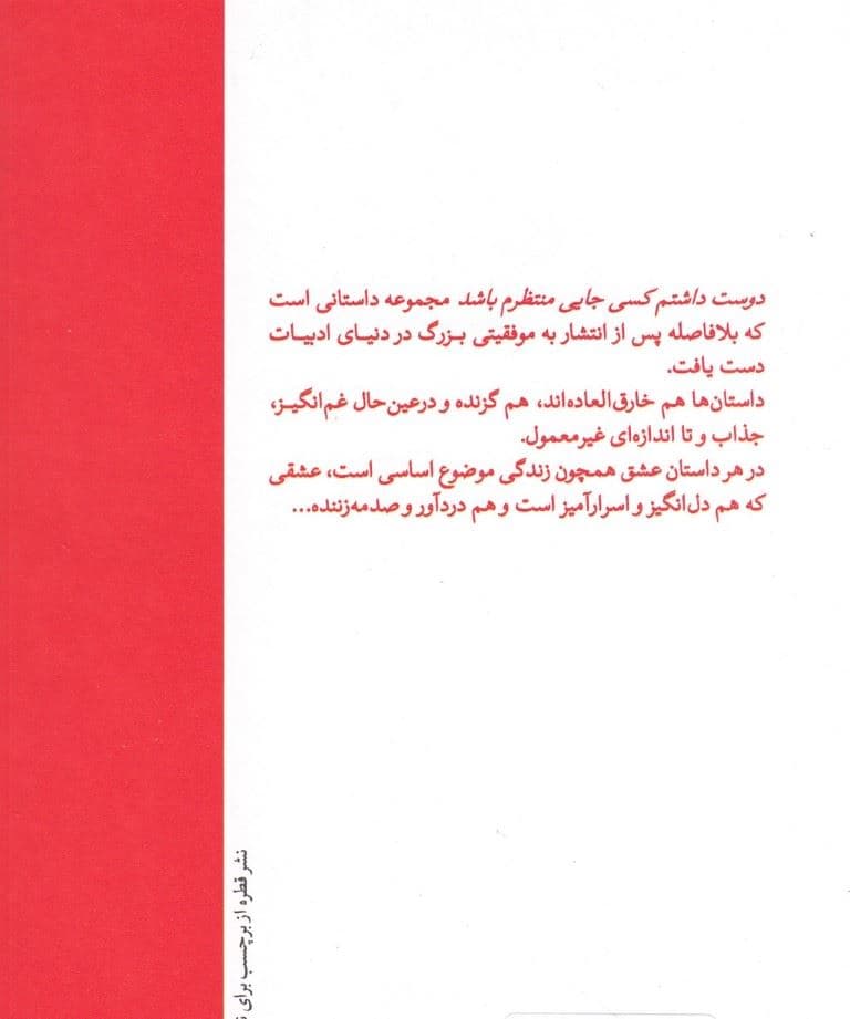 دوست داشتم کسی جایی منتظرم باشد (مجموعه داستان)