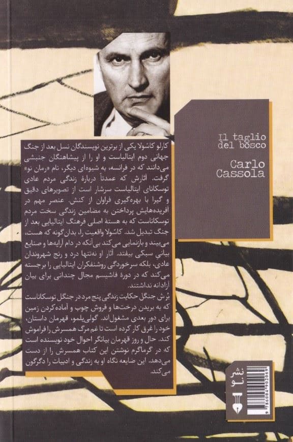 برش جنگل