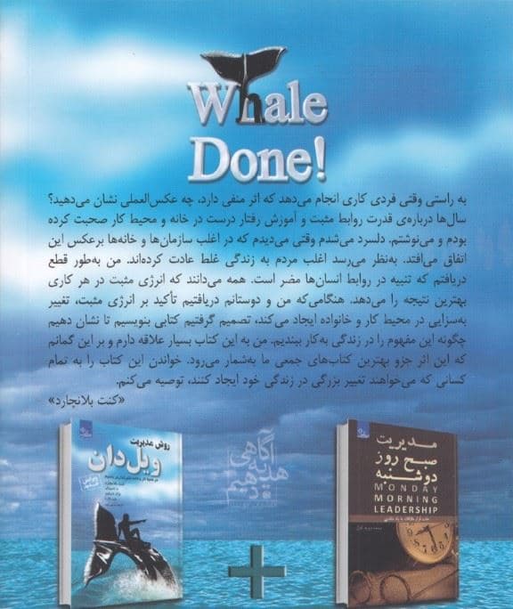 روش مدیریت ویل دان