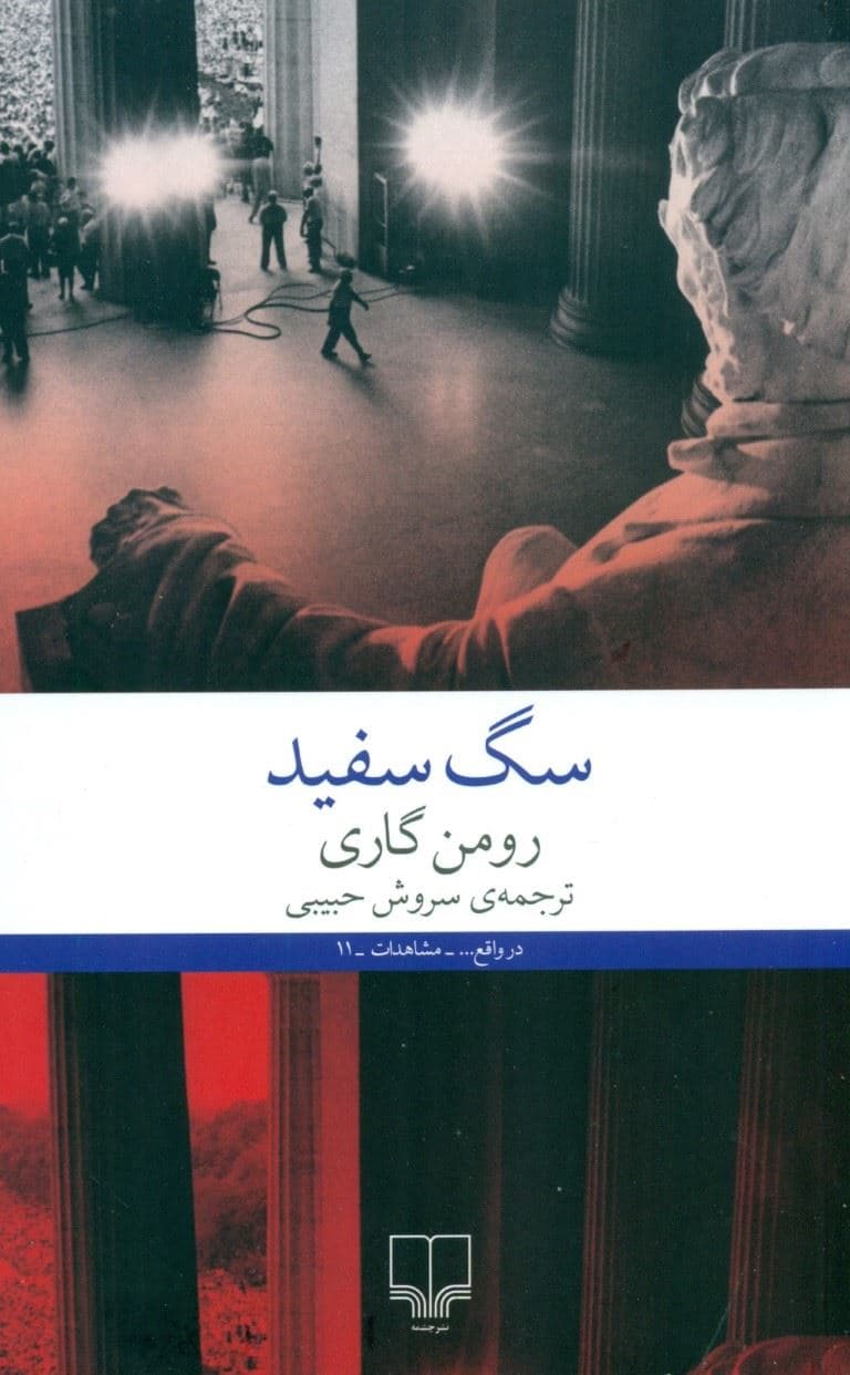 سگ سفید