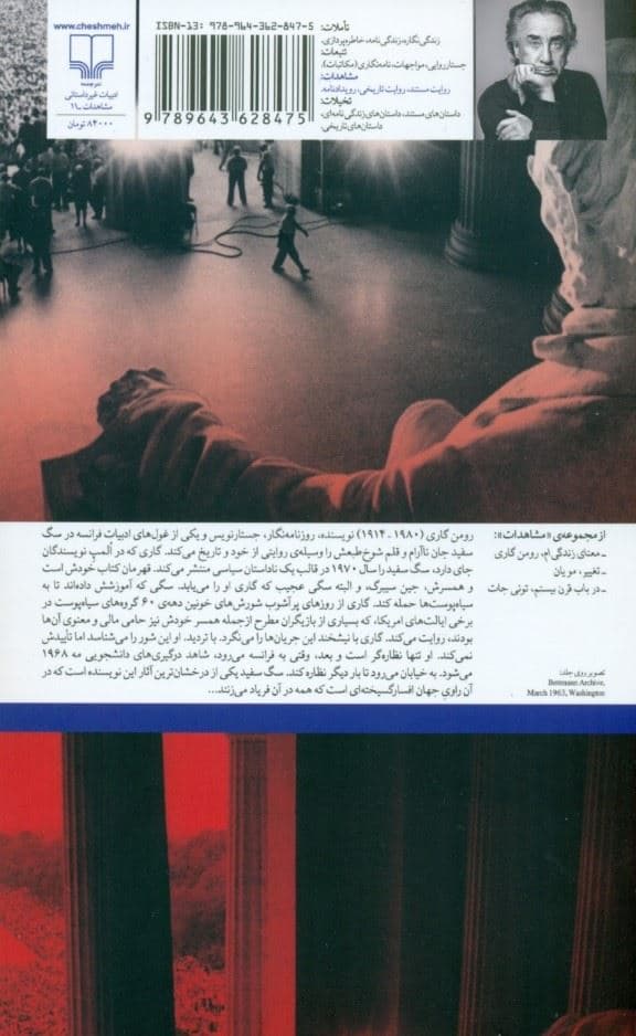 سگ سفید