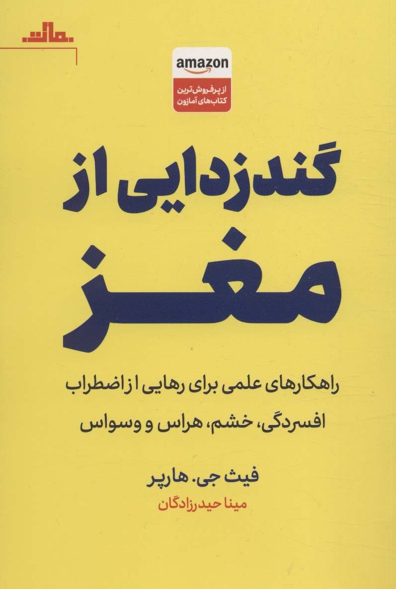 گندزدایی از مغز (راهکارهای عملی برای رهایی از اضطراب افسردگی خشم هراس و وسواس)