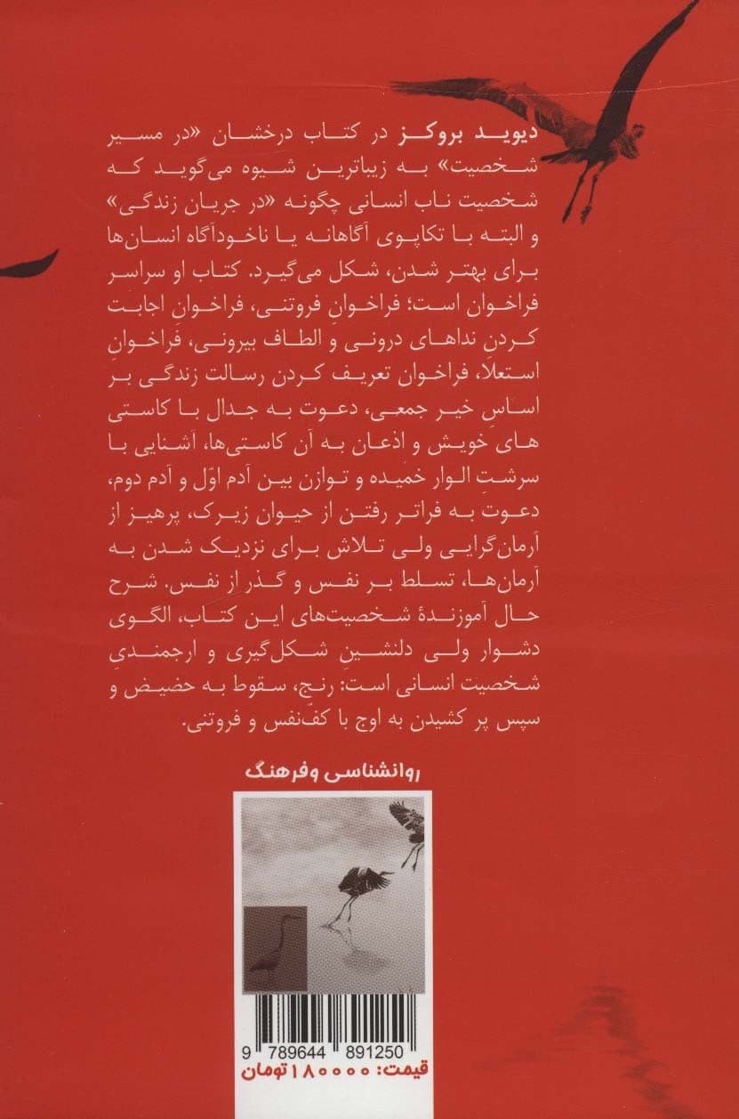در مسیر شخصیت