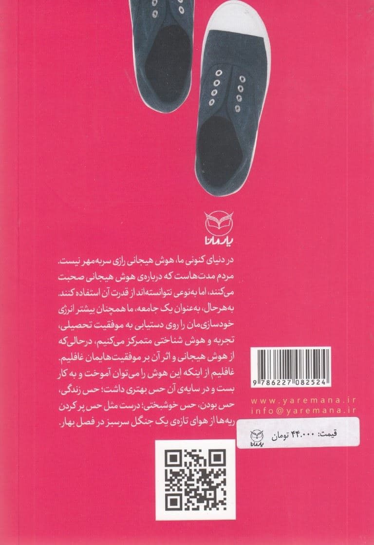 مهارت‌های خلق عمومی از مجموعه مهارت‌های هوش هیجانی