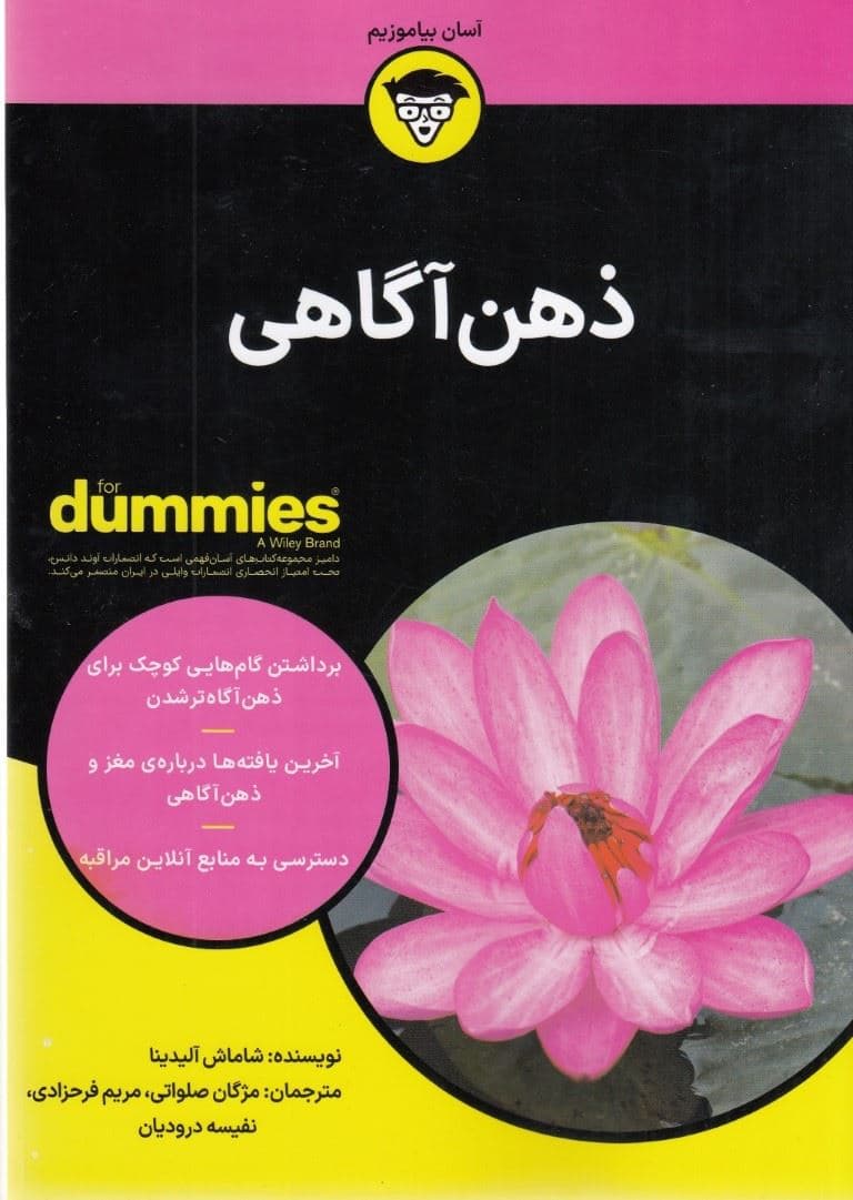 ذهن‌آگاهی برای دامیز