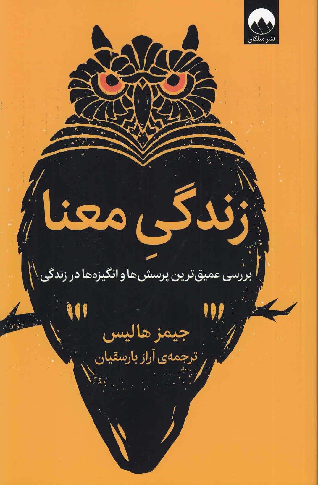 زندگی معنا (بررسی عمیق‌ترین پرسش‌ها و انگیزه‌ها در زندگی)