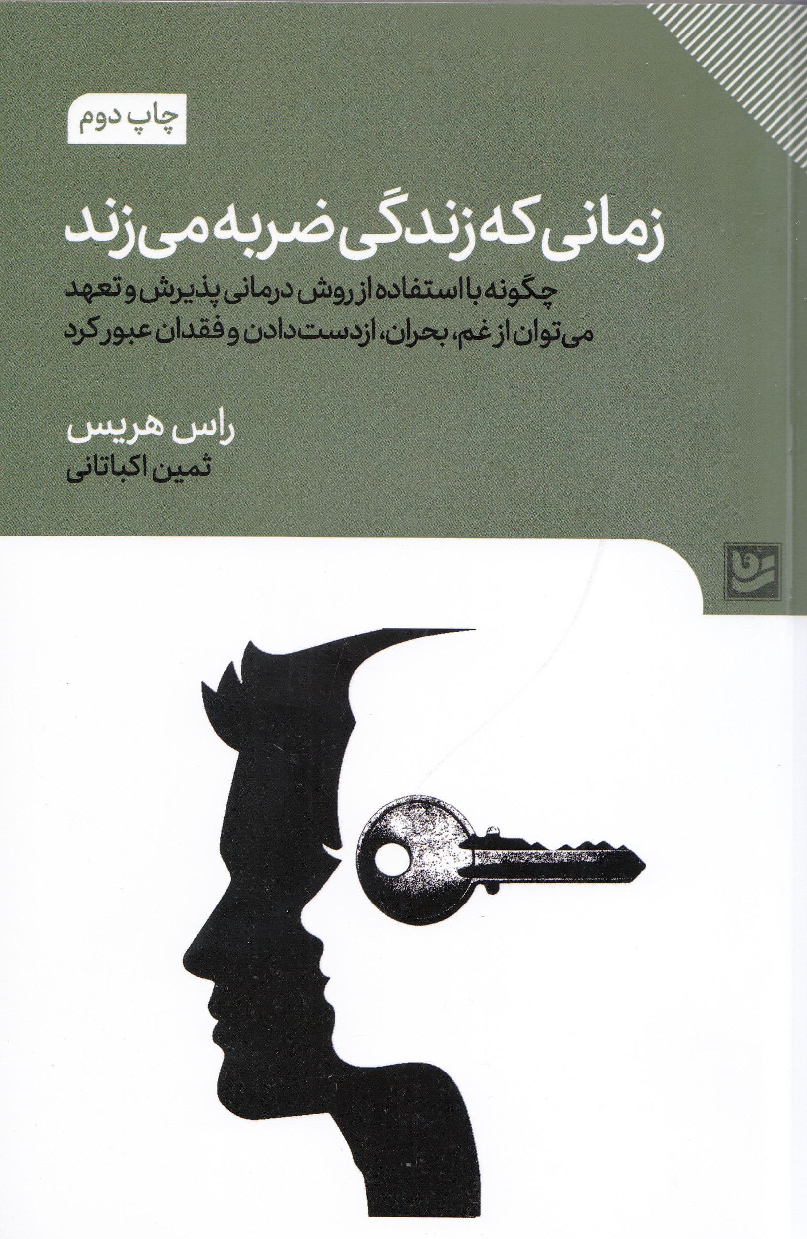 زمانی که زندگی ضربه می‌زند (چگونه با استفاده از روش درمانی پذیرش و تعهد می‌توان از غم بحران از دست‌دادن و فقدان عبور کرد)