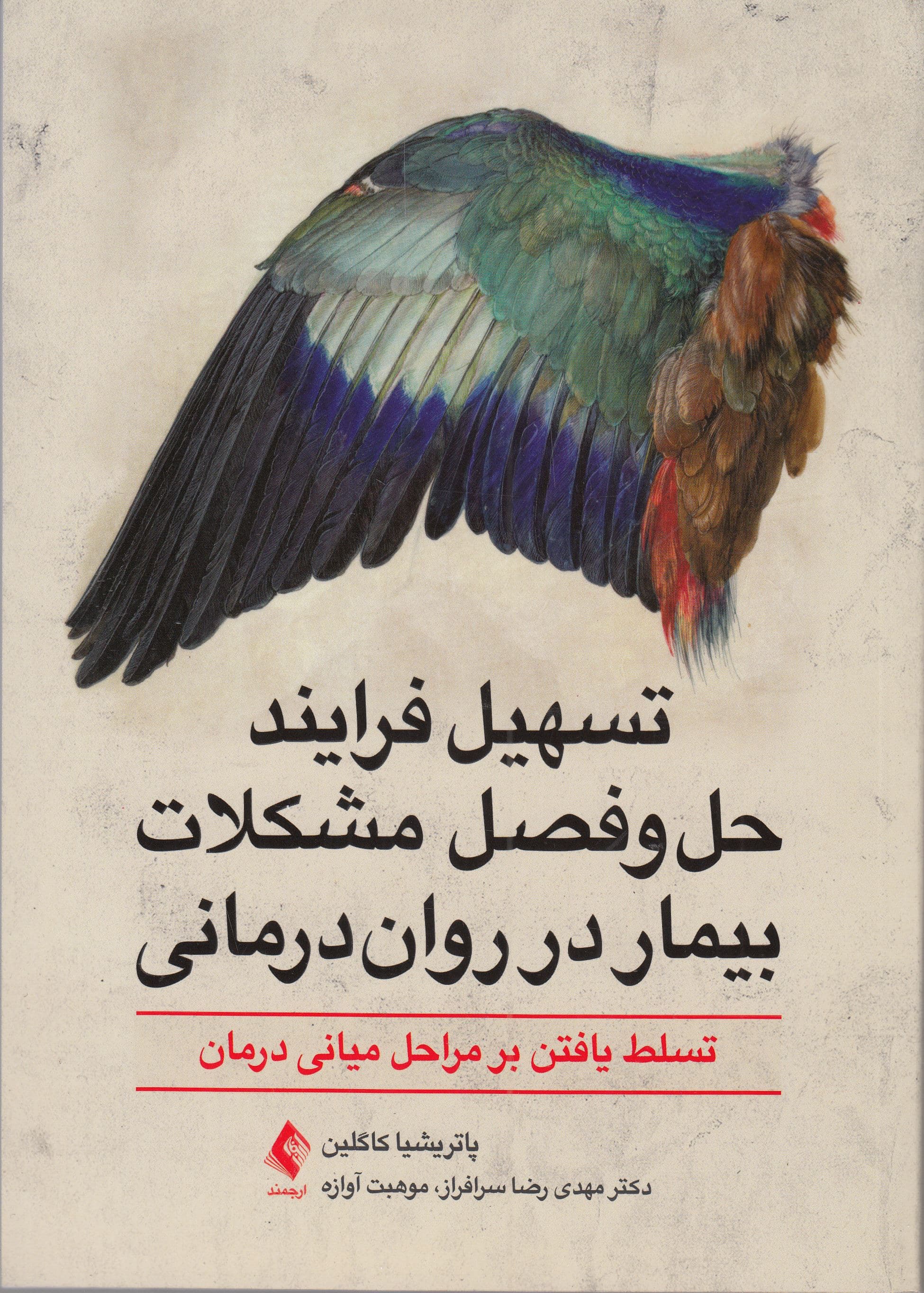 تسهیل فرایند حل و فصل مشکلات بیمار در روان‌درمانی (تسلط یافتن بر مراحل میانی درمان)