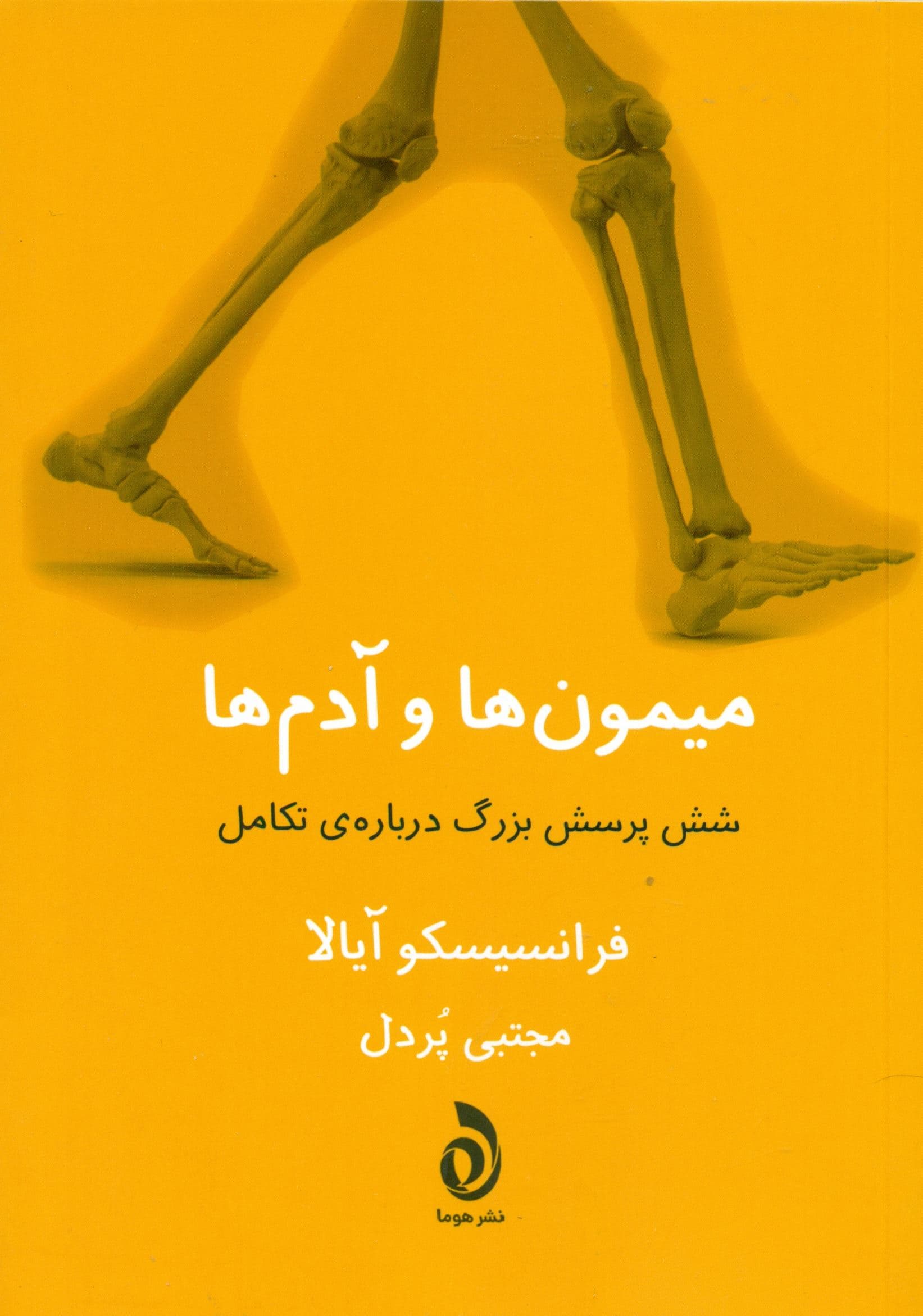 میمون‌ها و آدم‌ها (6 پرسش بزرگ درباره تکامل)