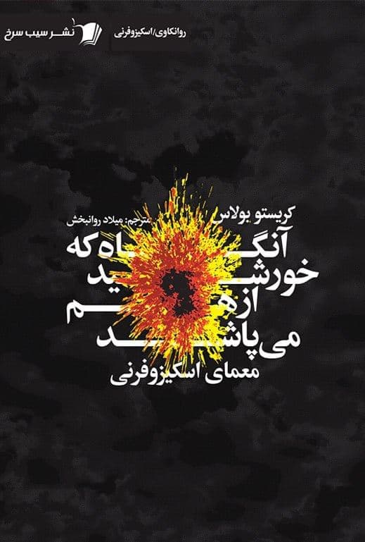 آن‌گاه که خورشید از هم می‌پاشد (معمای اسکیزوفرنی)