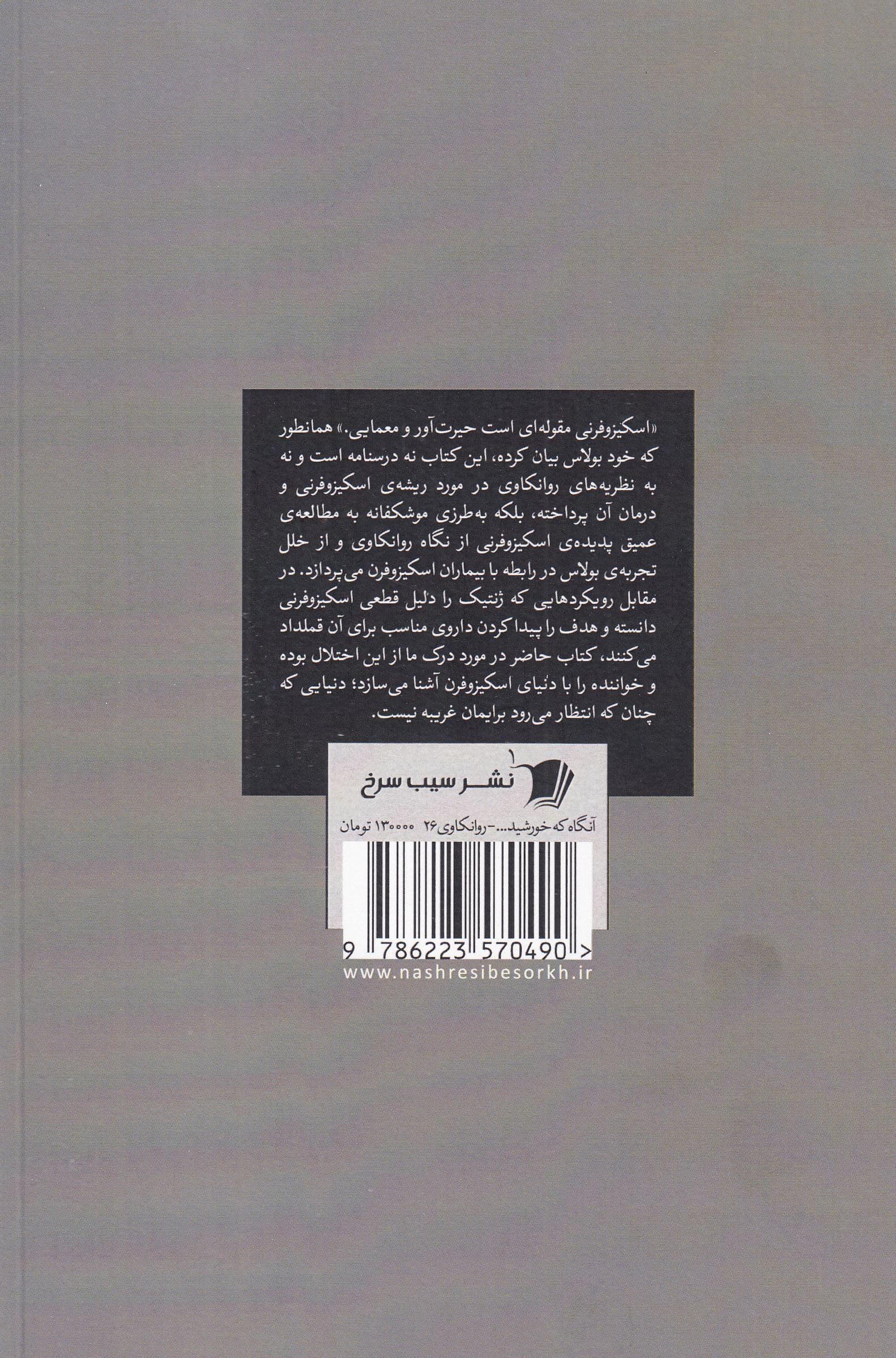 آن‌گاه که خورشید از هم می‌پاشد (معمای اسکیزوفرنی)