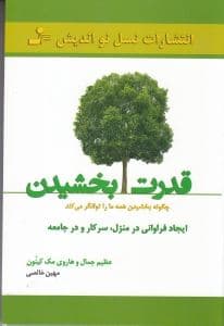 قدرت بخشیدن (چگونه بخشیدن همه ما را توانگر می‌کند ایجاد فراوانی در منزل سر کار و در جامعه)