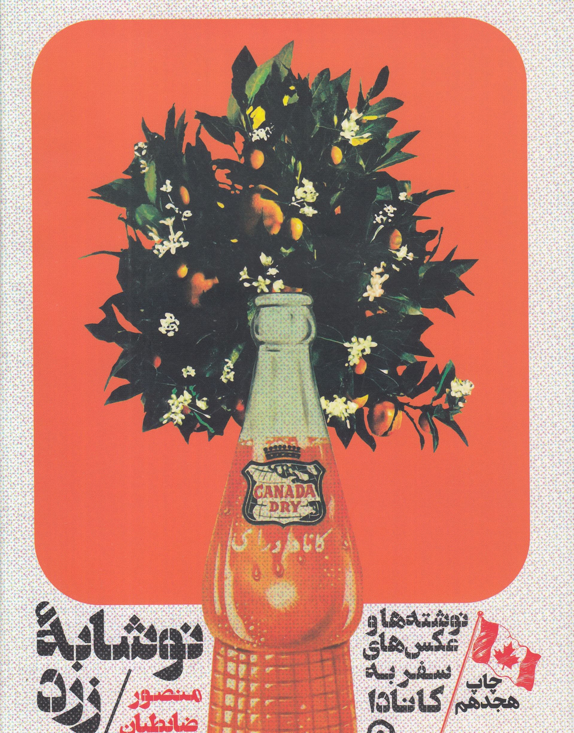 کانادا نوشابه زرد (گالینگور)