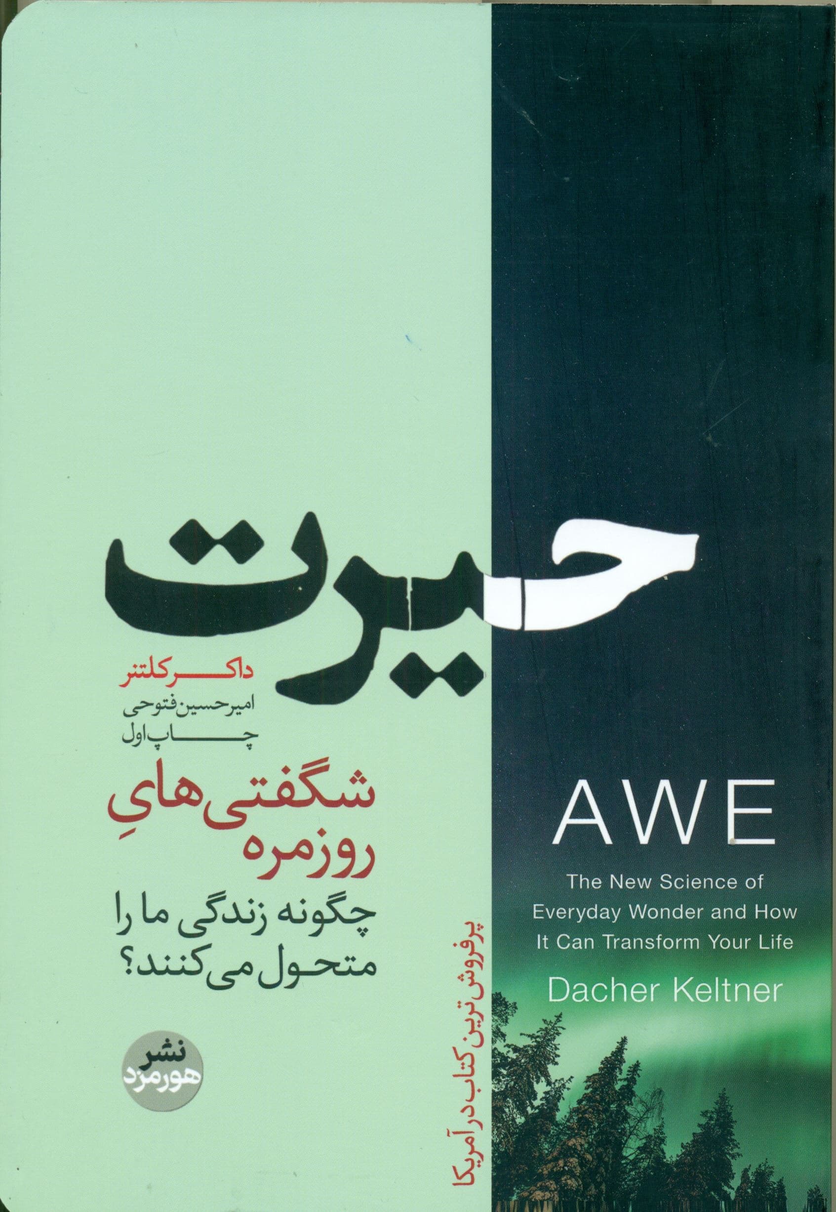 حیرت (قدرت تحو‌ل‌آفرین شگفتی‌های روزمره)