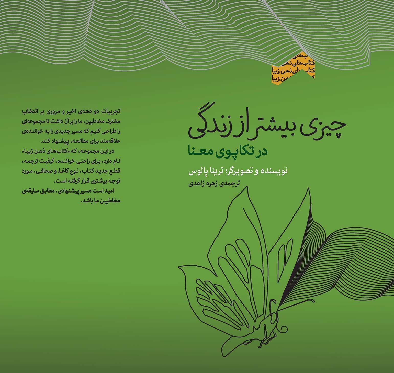 چیزی بیشتر از زندگی (در تکاپوی معنا) مجموعه ذهن زیبا