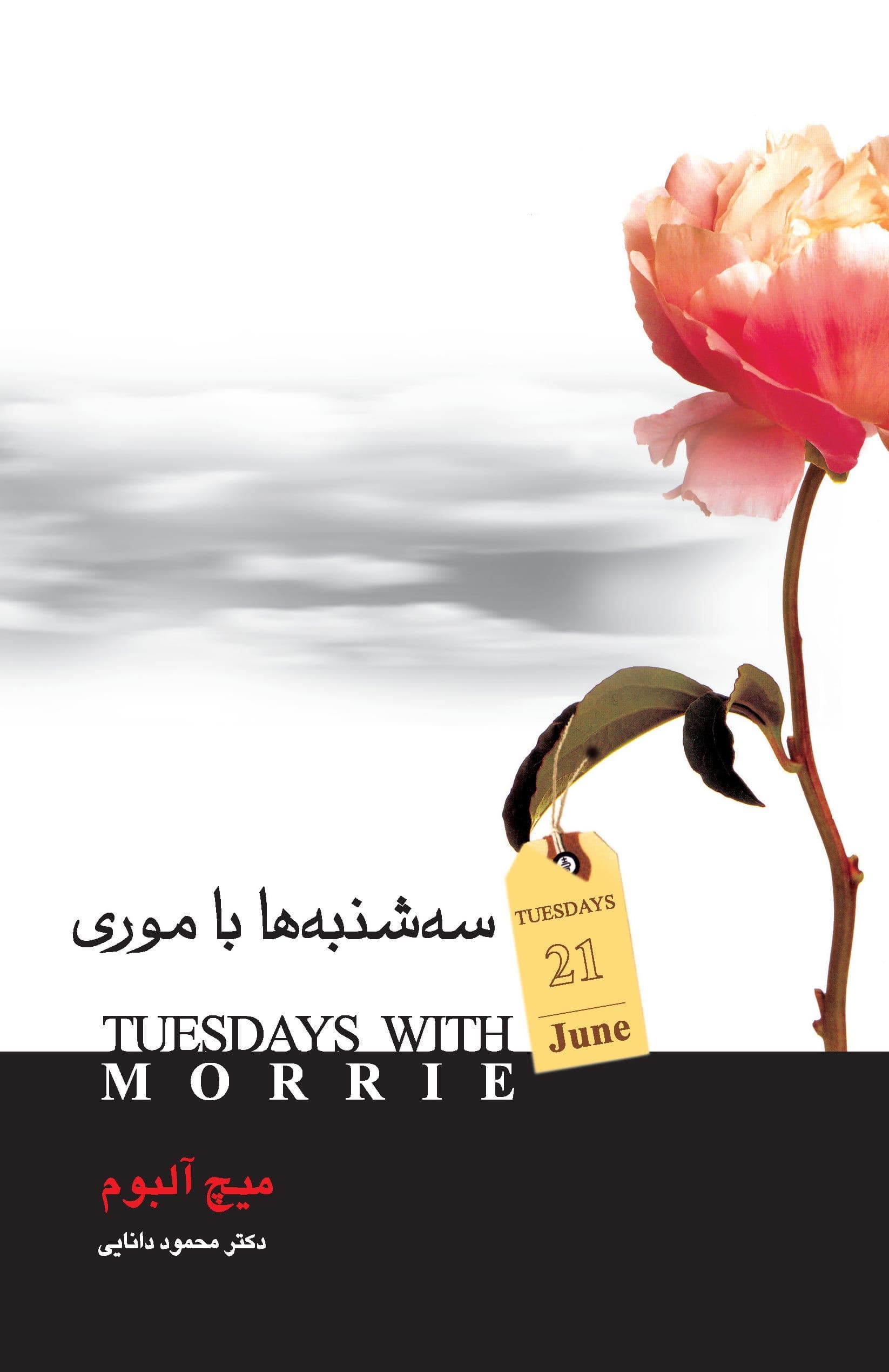 سه‌شنبه‌ها با موری