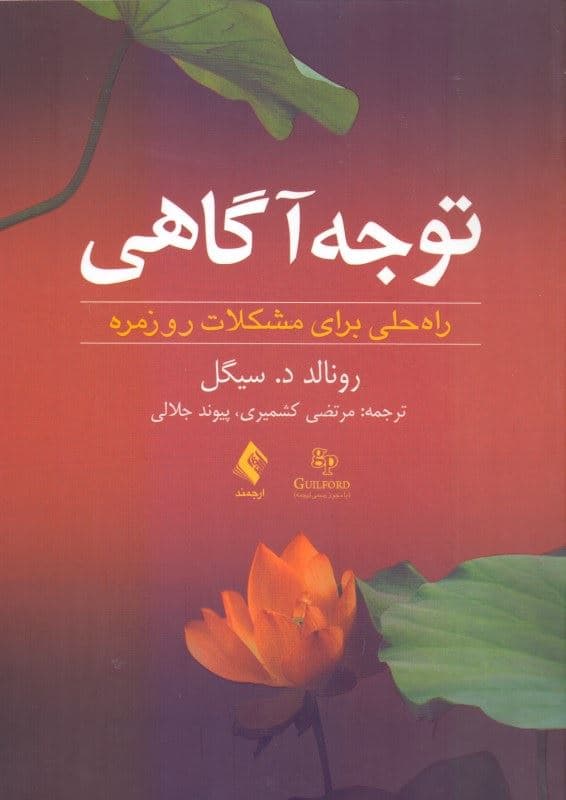 توجه‌آگاهی (راه حلی برای مشکلات روزمره)