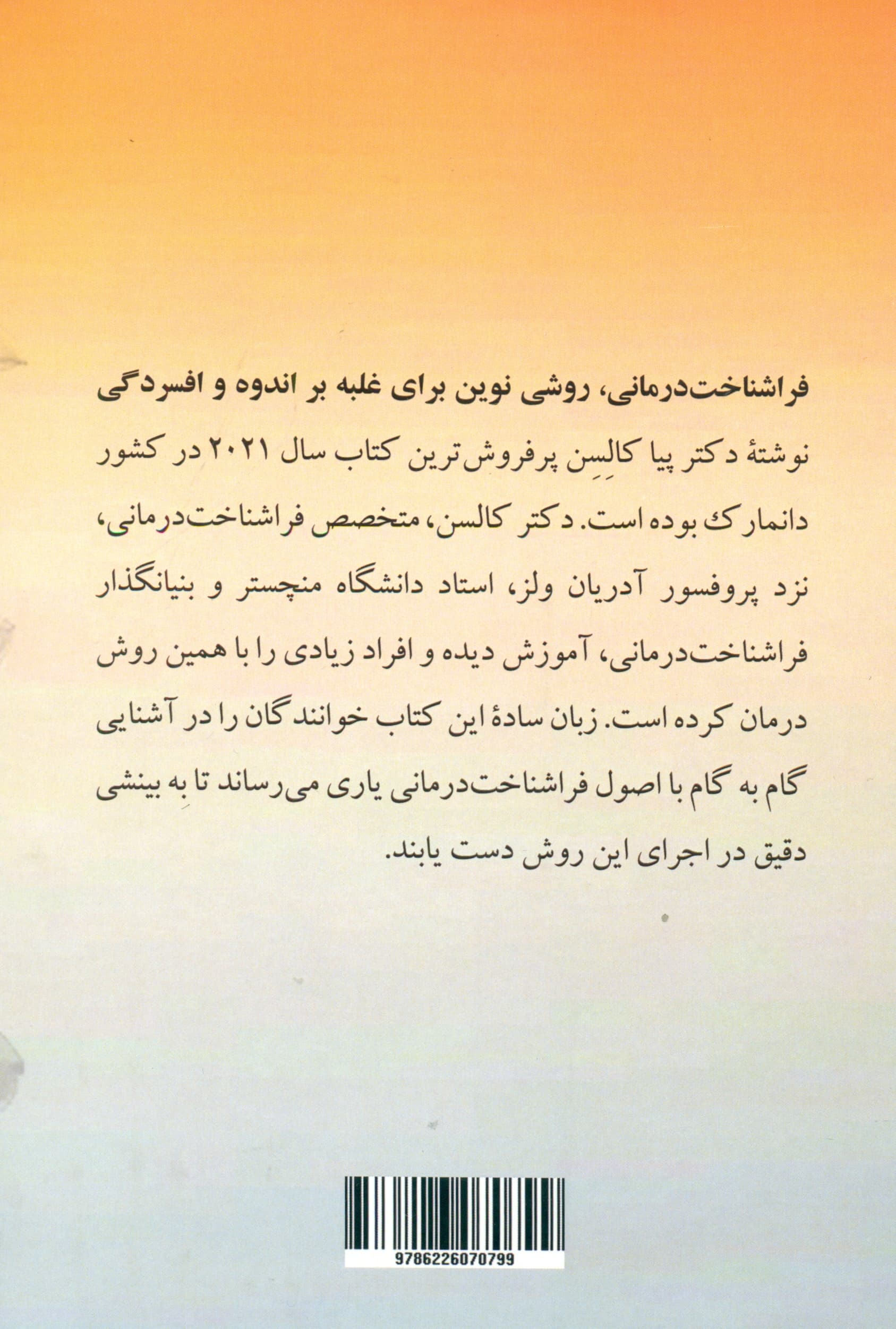 فراشناخت‌درمانی (روشی نوین برای غلبه بر اندوه و افسردگی)