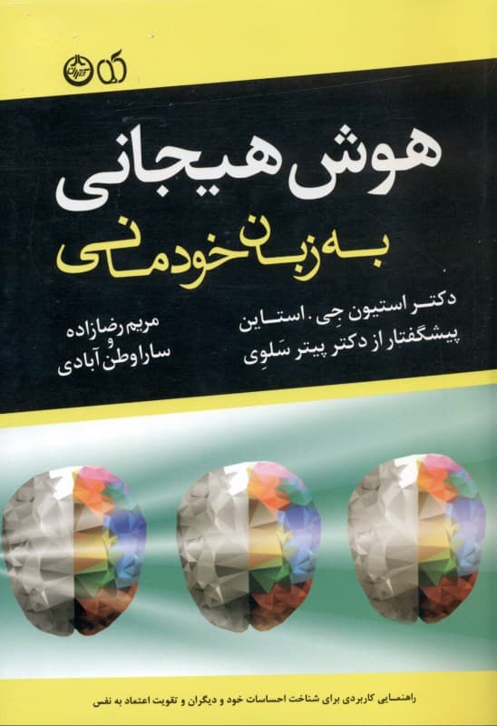 هوش هیجانی به زبان خودمانی