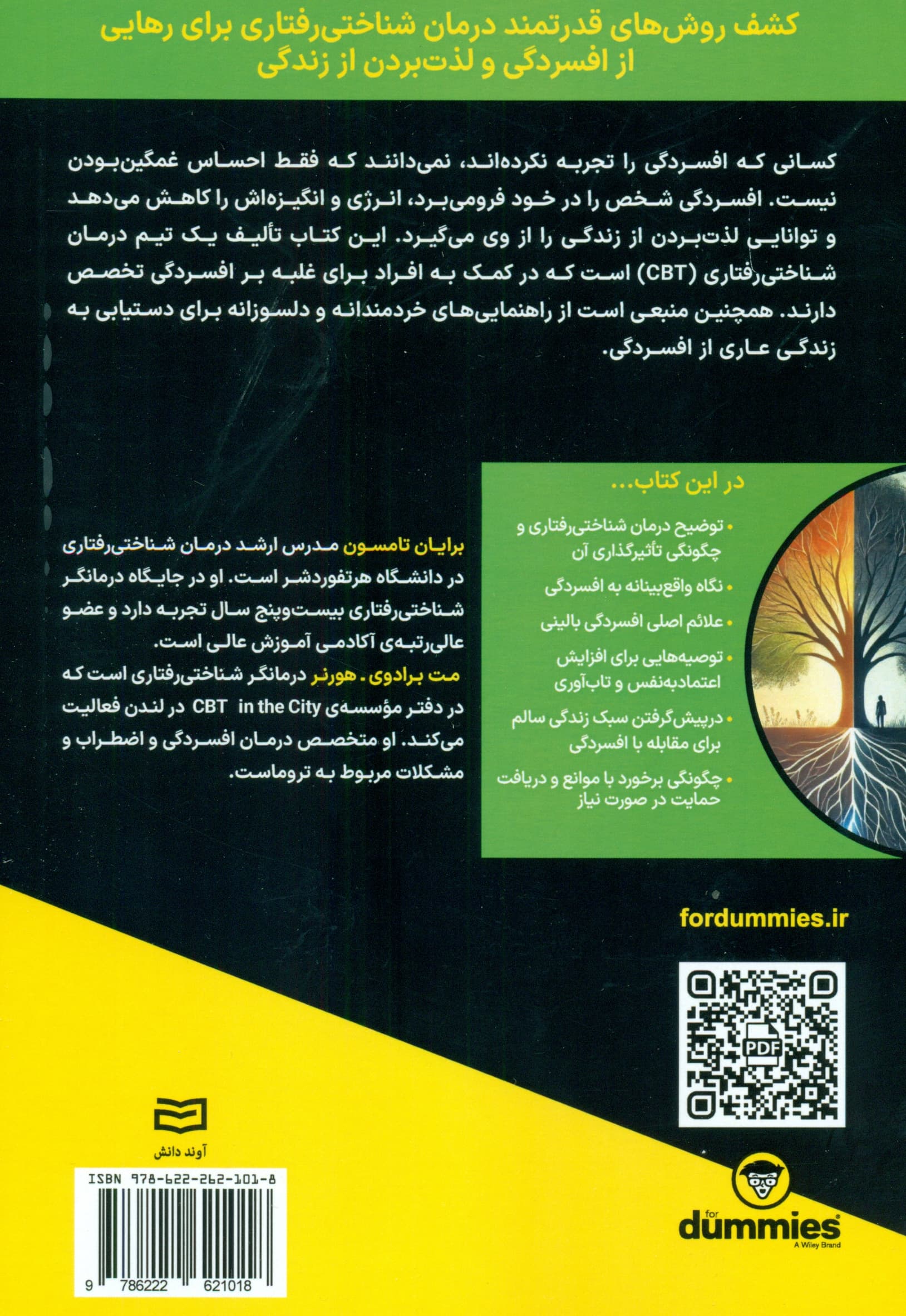 مدیریت افسردگی با درمان شناختی‌رفتاری (دامیز)