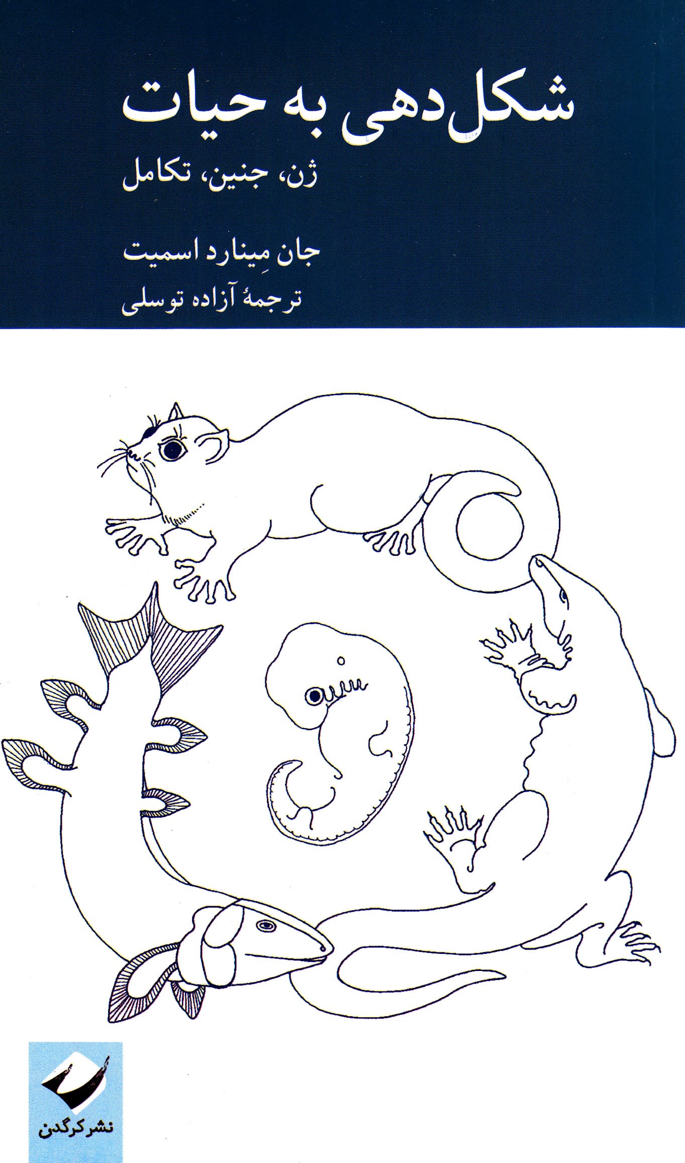 شکل‌دهی به حیات (ژن جنین تکامل)