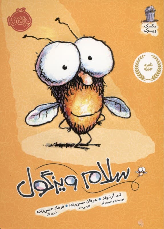 مگسک و پسرک (سلام ویزگول)