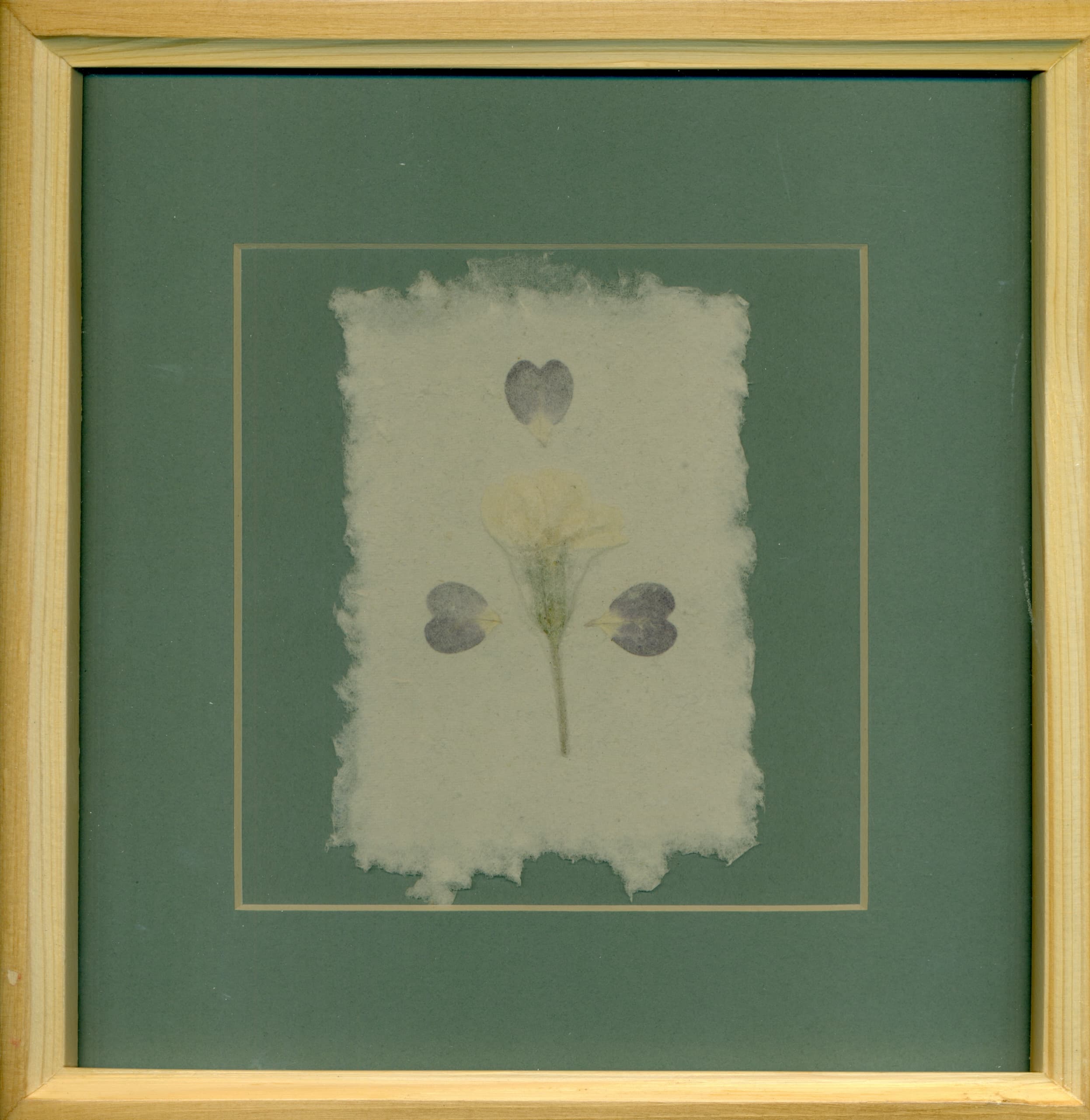 از مجموعه کولاچال کولاژ گل پامچال روی کاغذ دست‌ساز (قاب فلزی به همراه پاسپارتو)